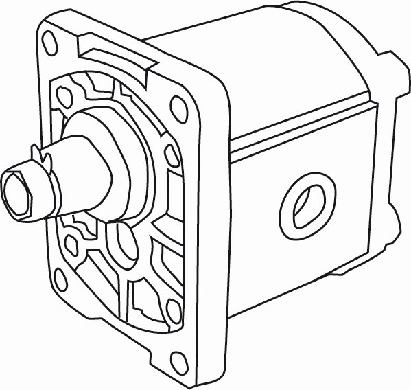 Pumpe PLP20.25-S-0-03-S2-L-MC/MB- N-EL-H Pumpe: 019985NC online kaufen -  351216 - RAUH Hydraulik