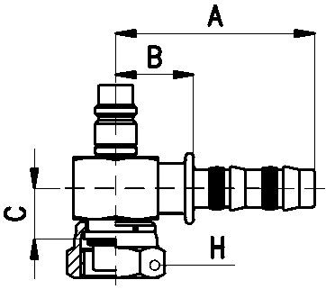 255668