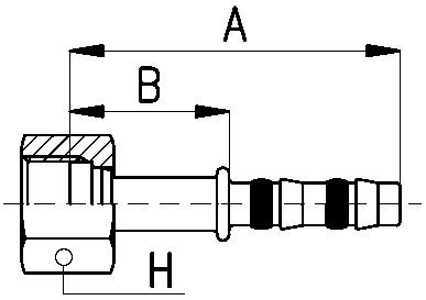 256117