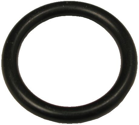 262124