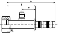 256070