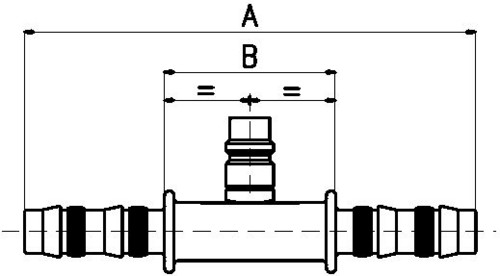 256101