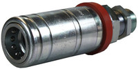239853