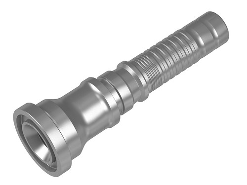 259134