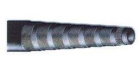 259981
