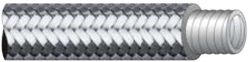 291406